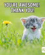 Image result for Thank You Email Meme