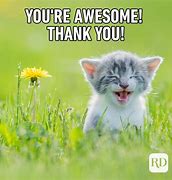 Image result for Thank You Roblox Cat Printer Meme
