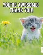 Image result for Cute Thank You so Much Meme