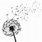 Image result for Dandelion Puff Clip Art Black and White
