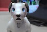 Image result for Sony Aibo Evil
