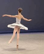 Image result for Pictures of Lucie Holankova Balet