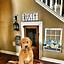 Image result for Under Stairs Dog House Ideas