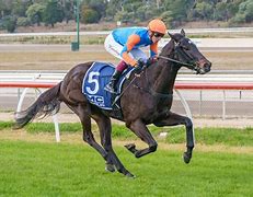 Image result for Rising From the Ashes Race Horse Hong Kong