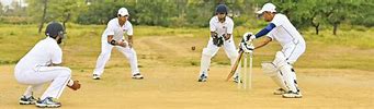 Image result for Wicket Gate Cricket