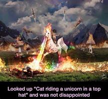 Image result for Cat Riding Unicorn Meme