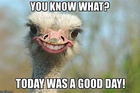 Image result for Today Is a Good Day Meme