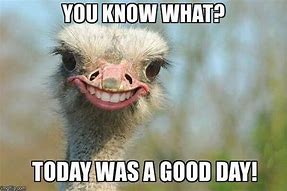 Image result for Have a Great Day Pun Meme