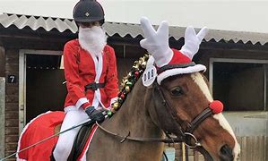 Image result for Horse Christmas Dress Up