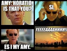 Image result for Horatio CSI Miami Meme