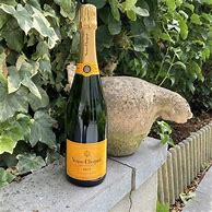 Image result for veuve clicquot champagne