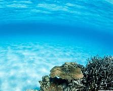 Image result for Sea Underwater Wallpaper