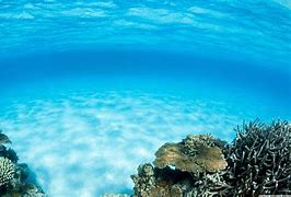 Image result for Underwater Ocean Desktop Wallpaper