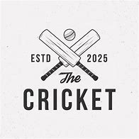 Image result for Action Cricket Logo