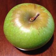 Image result for What's a Pippin Apple