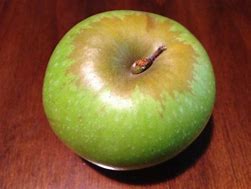 Image result for Twenty Ounce Apple