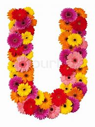 Image result for Flower Letter U