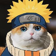 Image result for Gato Naruto Meme