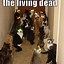 Image result for Funny Dead White Cat Picture