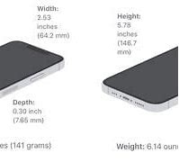 Image result for Dimensions of iPhone 13