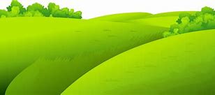 Image result for Flat Grass Cartoon