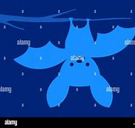 Image result for Crazy Bat Cartoon