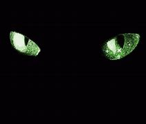 Image result for Moving Green Cat Eyes GIF