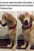 Image result for Funny Memes Whats App Story