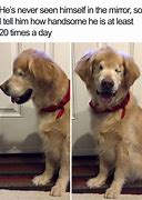 Image result for Funny Excited Face Meme