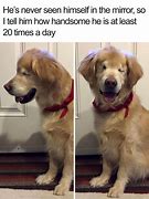 Image result for Funny Wish Store Memes