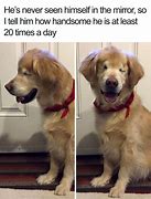 Image result for Funny Kny Vines