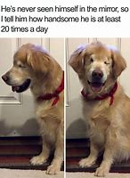 Image result for Wholesome Best Friend Memes