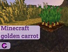 Image result for How to Get Golden Carrots