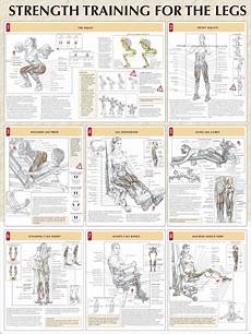 Ldl Cholesterol Needed To Gain More Muscle Mass