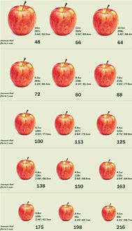 Image result for Apple Size Chart