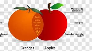 Image result for Venn Diagram Apple and Orange