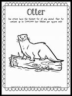 Image result for Otter Printable Facts