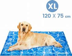 Image result for Dog Cooling Mat Extra Large