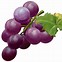 Image result for Cartoon Grapes Icon