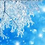 Image result for Winter Wallpaper Android