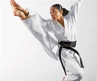 Image result for Woman Doing Martial Arts