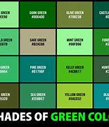 Image result for All Kinds of Green Color