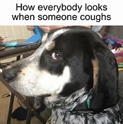 Image result for Dog Holding Cough Meme