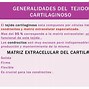 Image result for csrtilaginoso