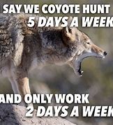 Image result for Funny Coyote Hunting Memes