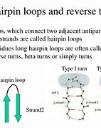Image result for What Is the Base of a Hairpin