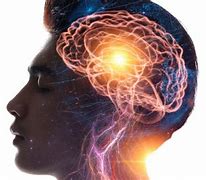Image result for How Many Percent Do You Actually Use Your Brain a Day