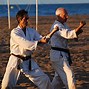 Image result for Karate Do Kanji