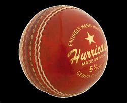 Image result for Cricket Ball Animated
