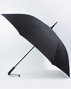 Image result for Walking Stick Umbrella
